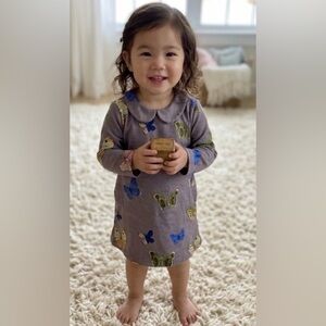 MINI RODINI Gray Organic Peter Pan Collar Butterfly Top Dress 80/86 or 12-24 Mos